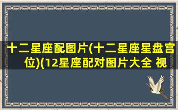 十二星座配图片(十二星座星盘宫位)(12星座配对图片大全 视频)